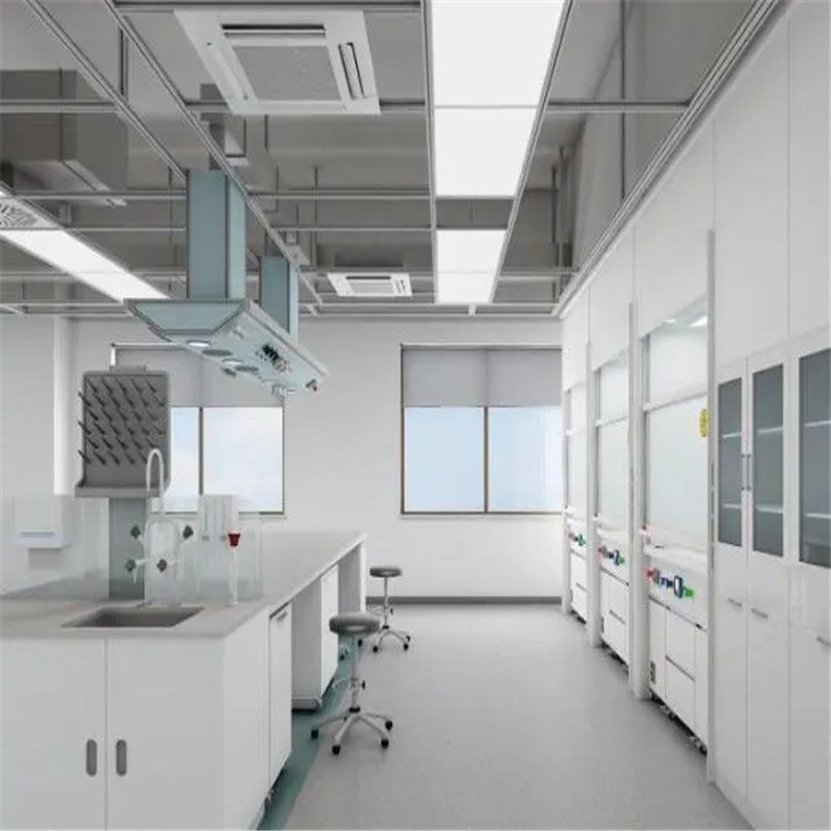 河北实验室净化工程与教育信息咨询的协同发展